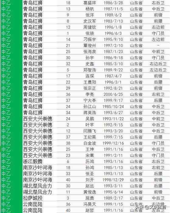 2020中国足球队员40强名单,山东中国足球队球员名单