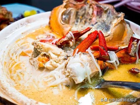 新加坡吃不到的食物,去新加坡吃东西发现没有美食