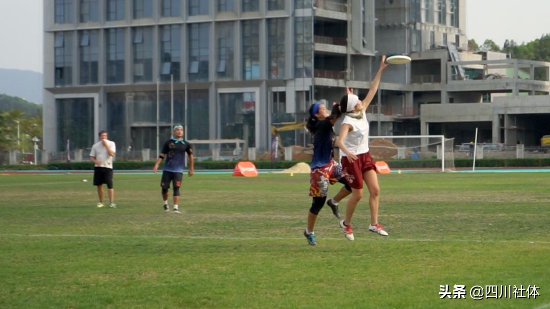 所有的飞盘怎么玩,极限飞盘玩
