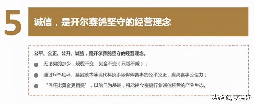 第八届超级品牌日,超级品牌日