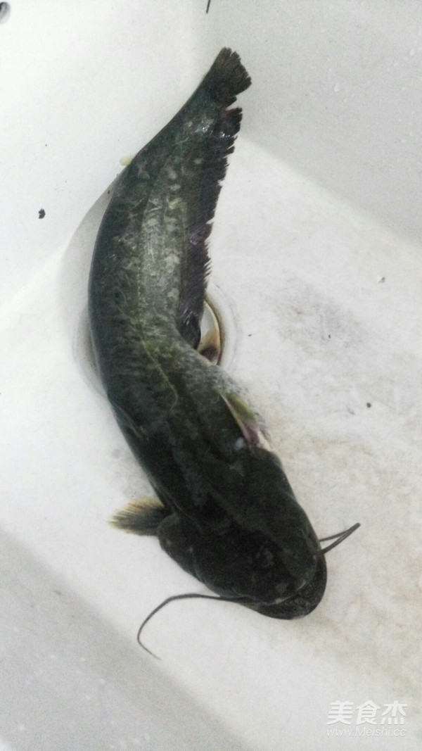 被误解最多的鱼其实它全身都是宝,常常被大家忽略的鱼浑身是宝