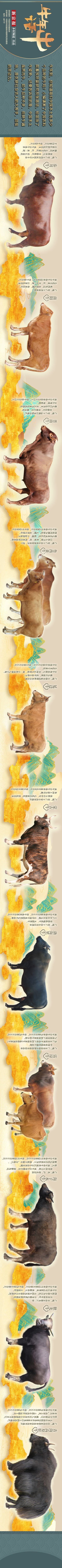 牛年话牛丨牛年将至那些你所不知道的中国本土牛