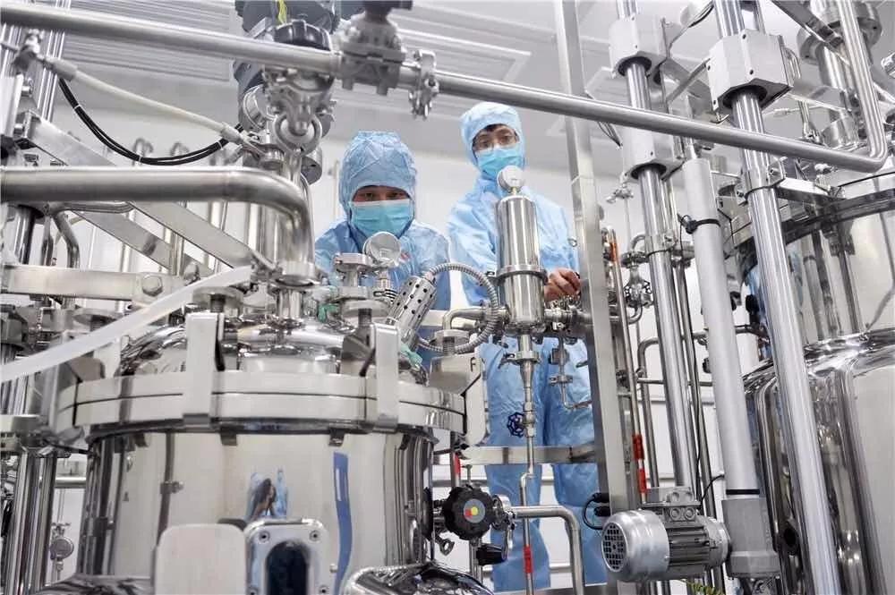 杭州湾新区投资100亿,投资杭州湾哪里好