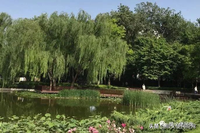 顺义区免费景点排行榜冬天,顺义最良心的八大免费景点