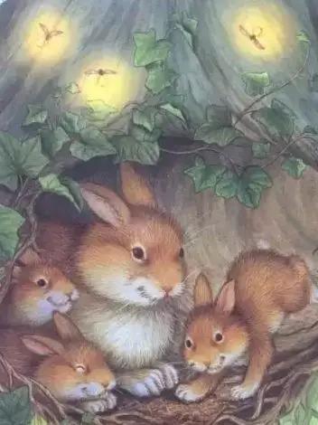 培养3至4岁幼儿逻辑思维的绘本,读绘本引导孩子的思维