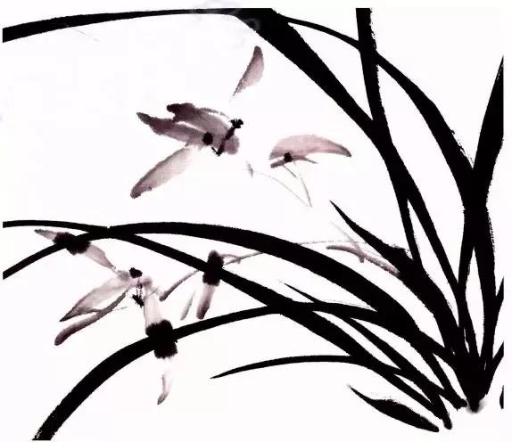 兰花绘画技法教程视频,泰国兰花绘画技法