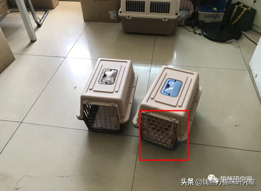 给大家介绍宠物托运的全过程,找托运宠物公司托运宠物注意什么