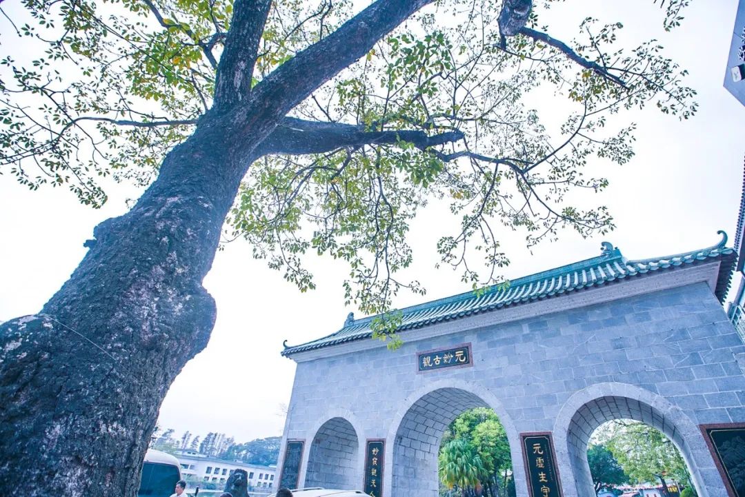 惠州一知名景区恢复开放,惠州这些场所有序恢复开放