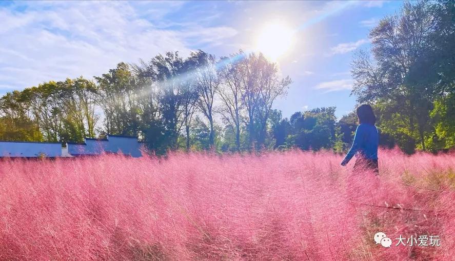 一边户外遛娃一边室内看展,盘帝都这些以数字命名的特殊建筑