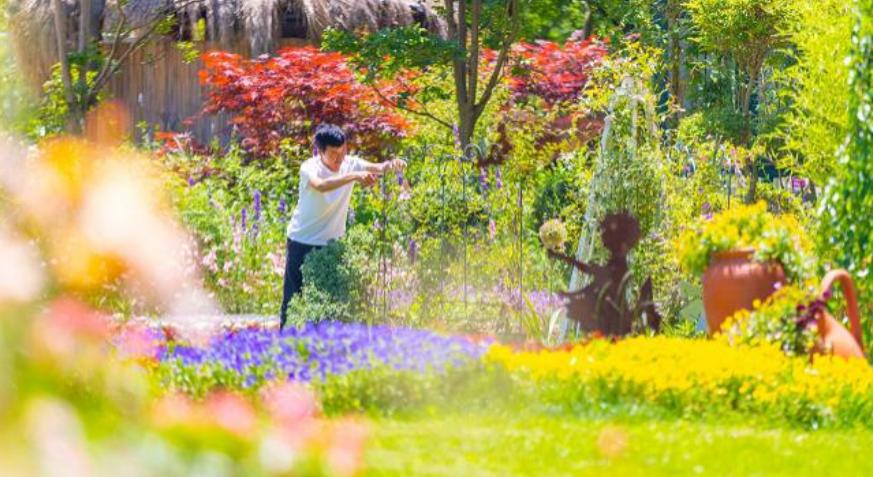 20w打造吃住玩一体农庄,有吃又有玩的农庄