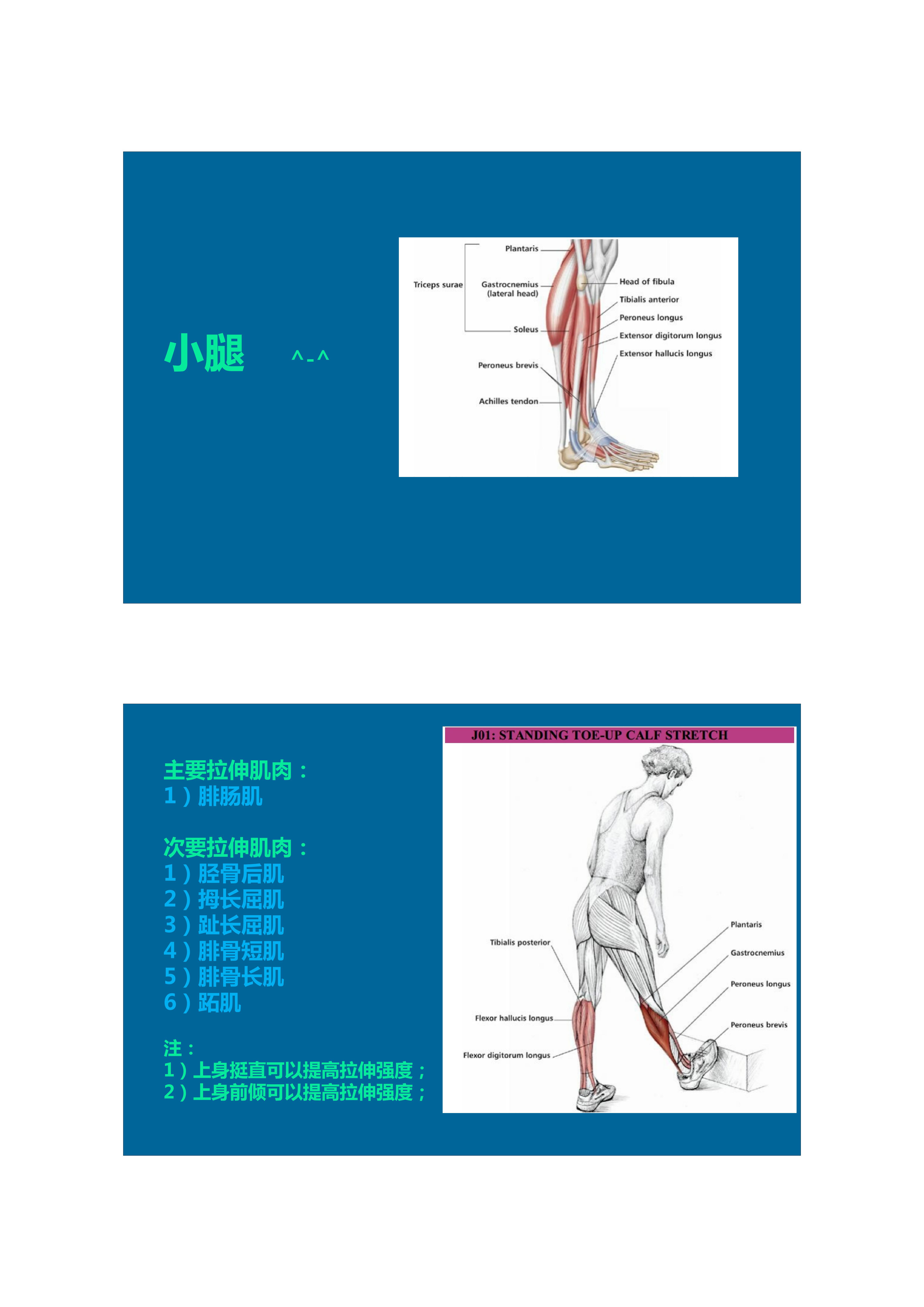 1分钟拉伸动作视频,拉伸腿部技巧