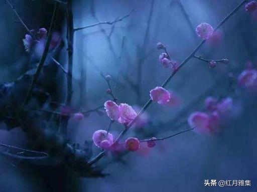 谁许我三生三世,谁引我魂牵梦绕?