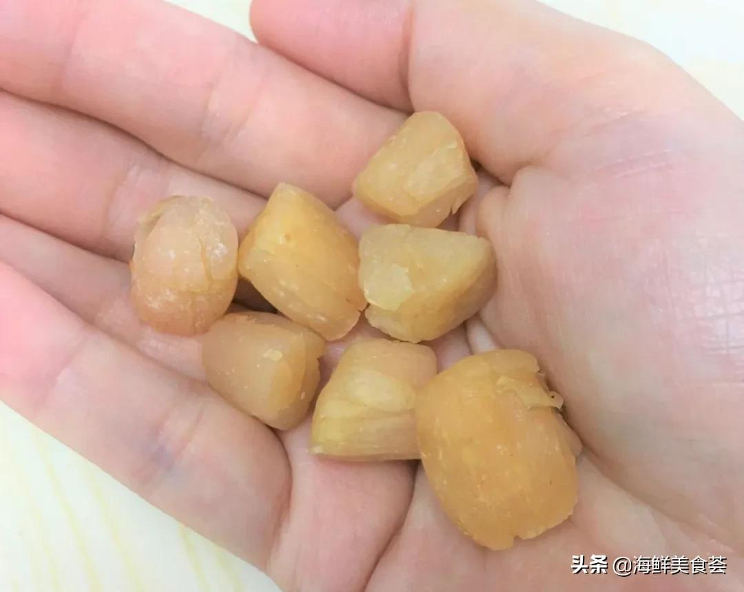 来到广东就得尝遍所有的海鲜美味,广东常见好吃的海鲜