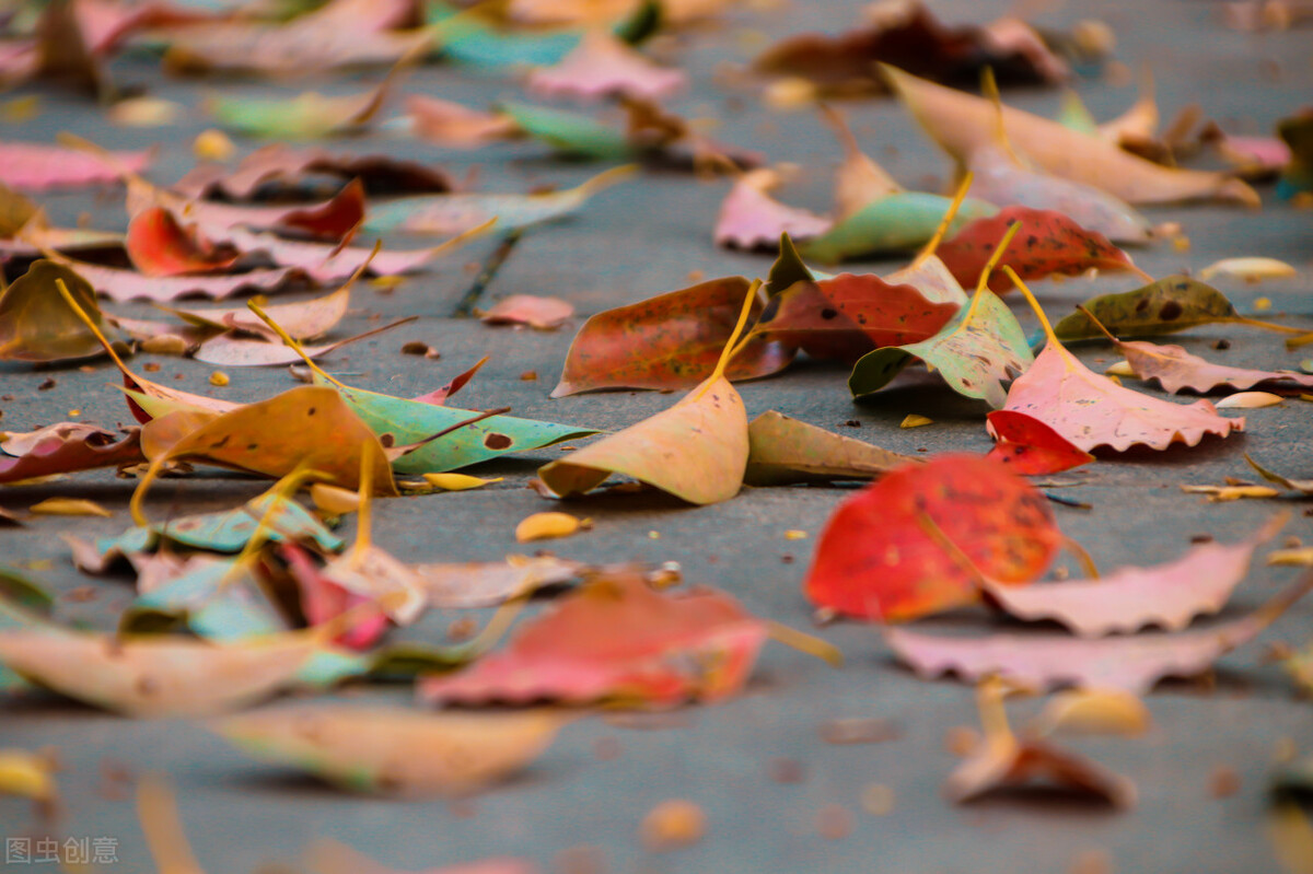 涓嶈礋鐩搁亣涓嶆喚绂诲埆,涓嶈礋閬囪涓嶆喚浣欑敓
