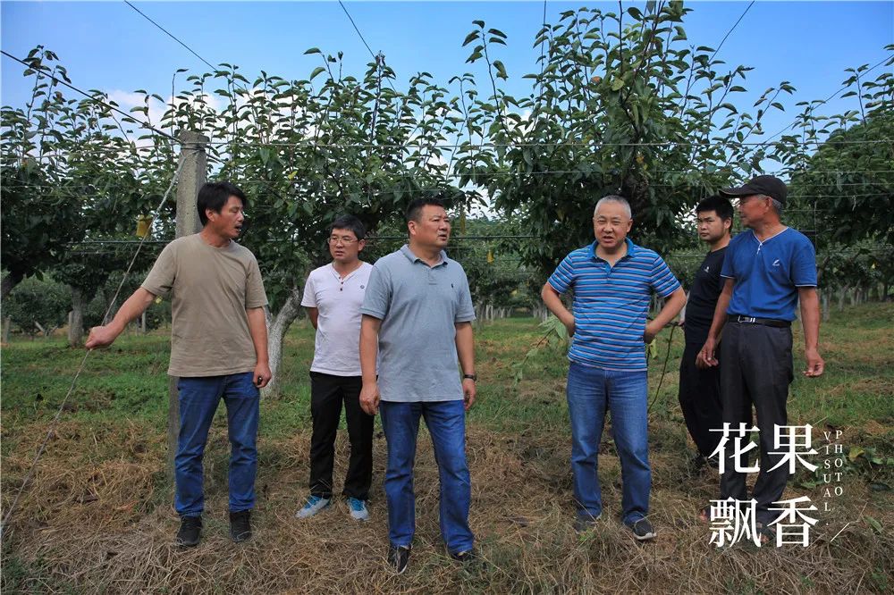 农业十个投资九个坑,农业有很多坑