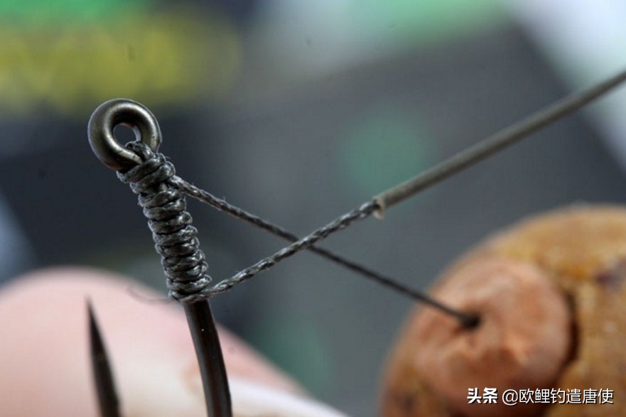 话说欧鲤钓诱饵篇,枯叶钓组和线辫钓组区别