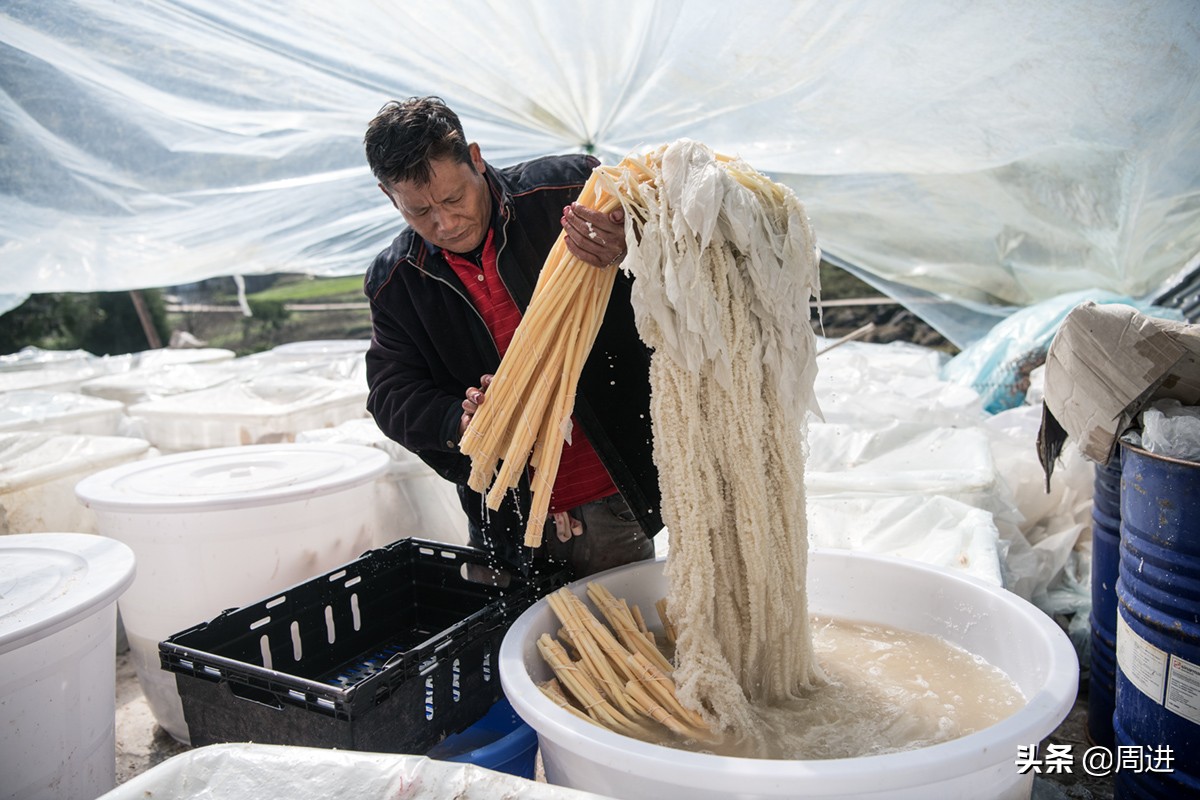 56岁搬运工,农村小伙土特产搬运工