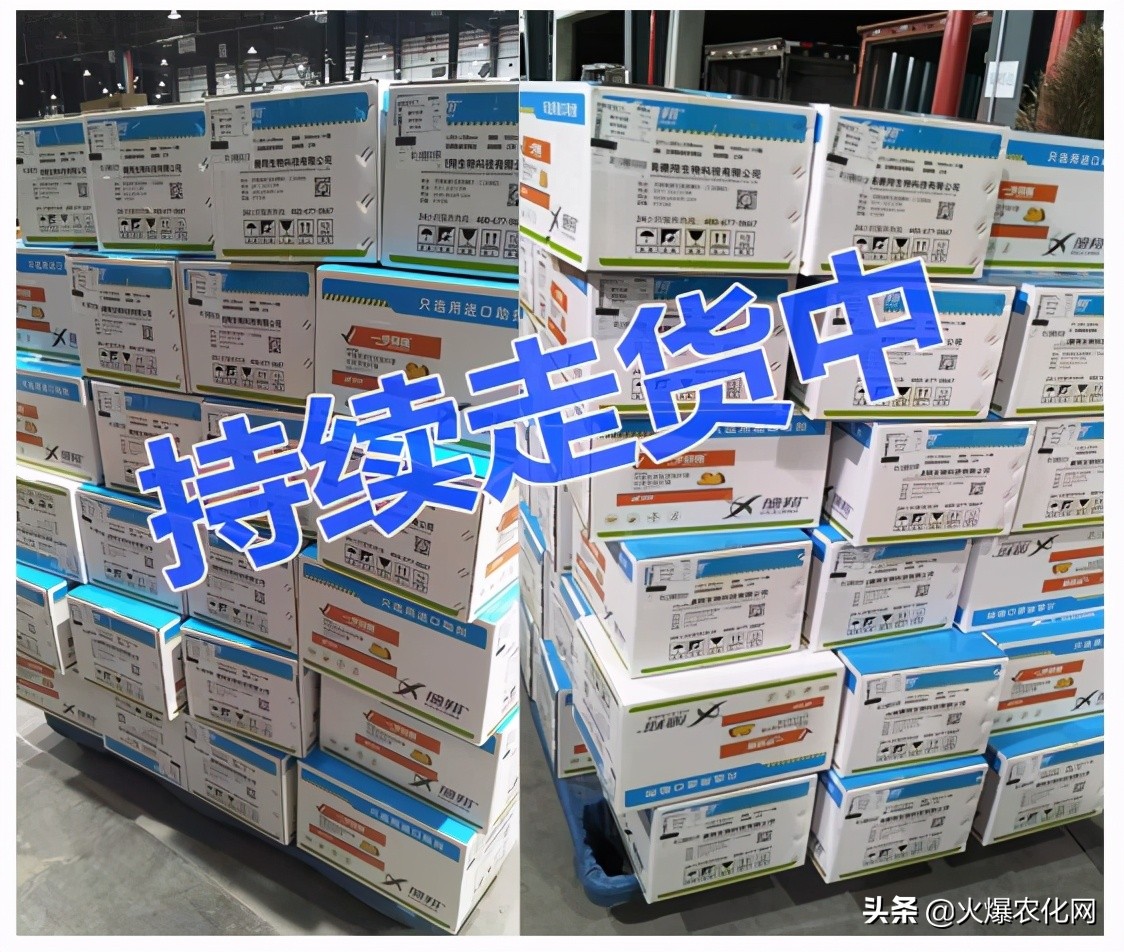 全面替代铜制剂！新一代“击溃爆品”！不伤花果！防治率高达96%