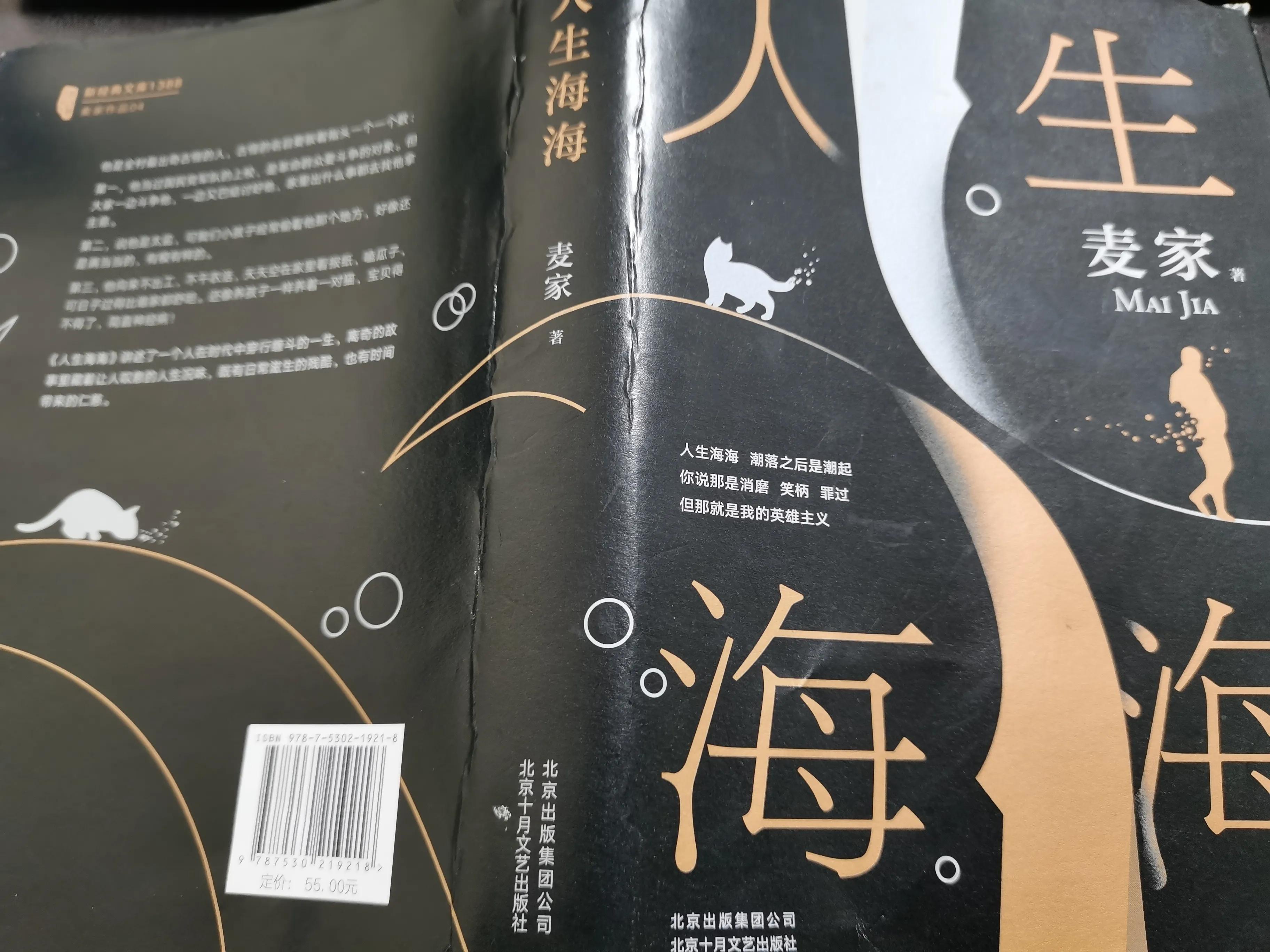 人生海海读书笔记,人生海海读后感手写版