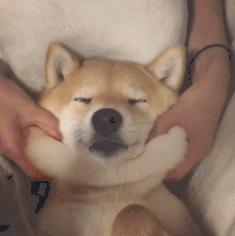 便宜好用的精华水,最便宜的平替精华液