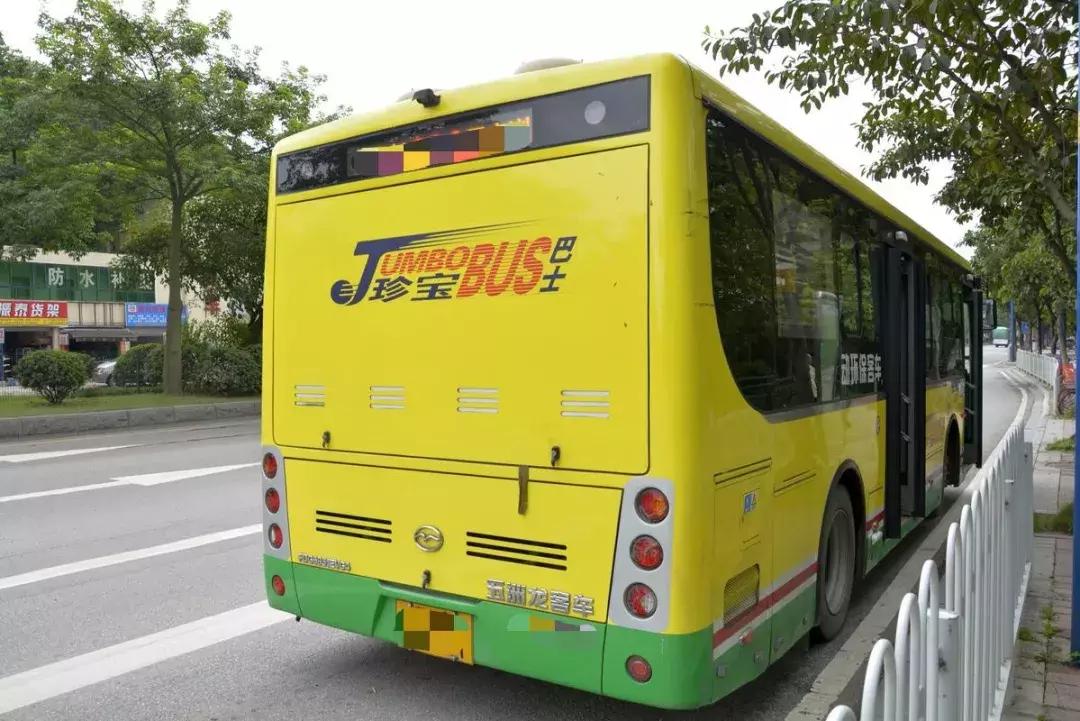 NO.870:鸽子在天上飞的呢,阿克苏却有人要买1000只…