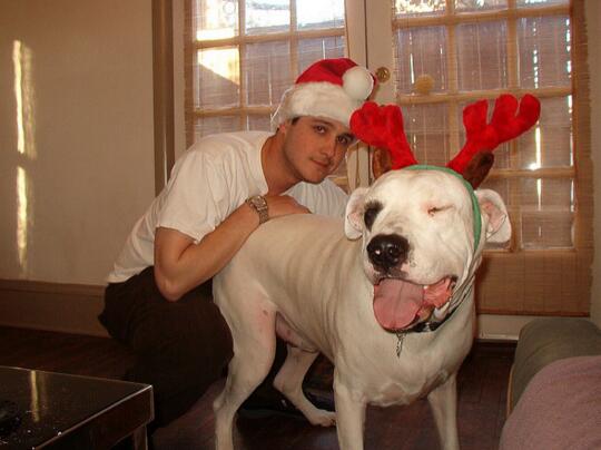 雪白的追猎者，野猪克星。阿根廷杜高！！