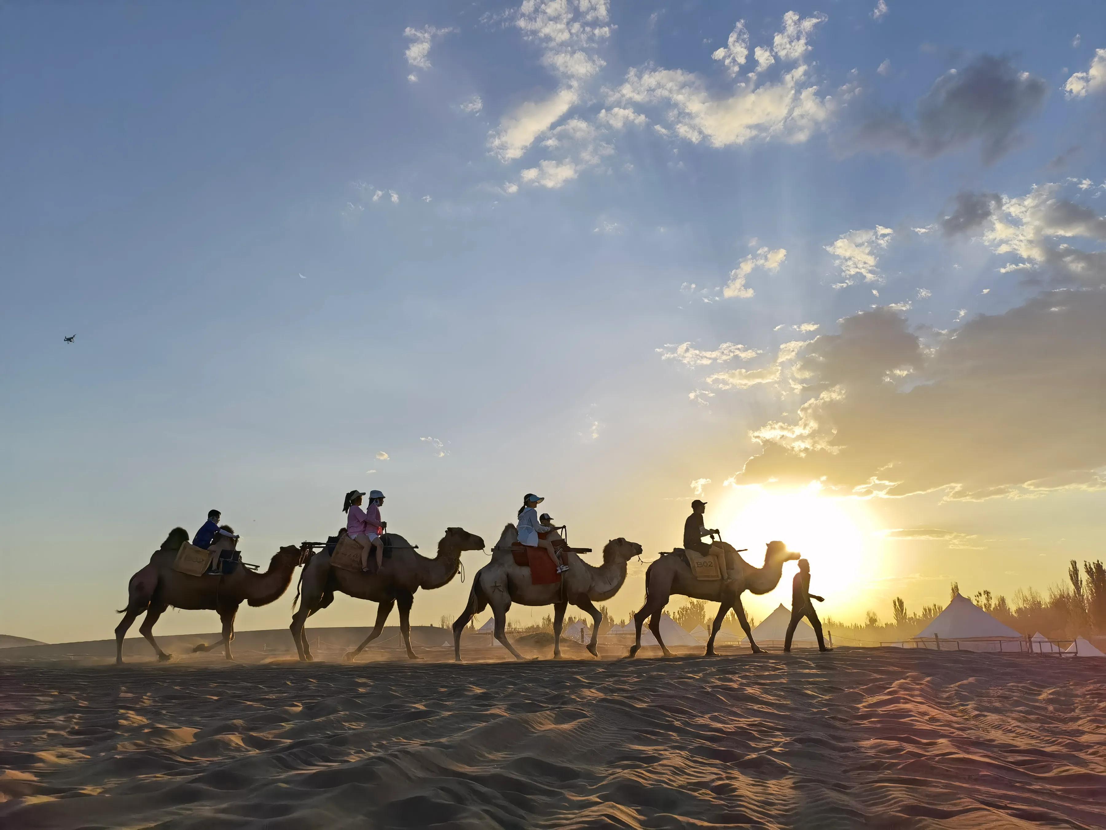 手拍世界投稿,手拍世界作品专集