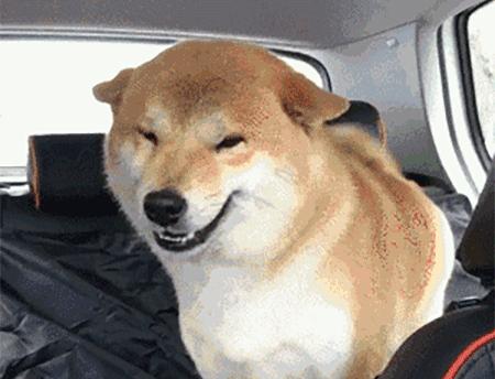 超硬！有哪些值得每天一看的网站？