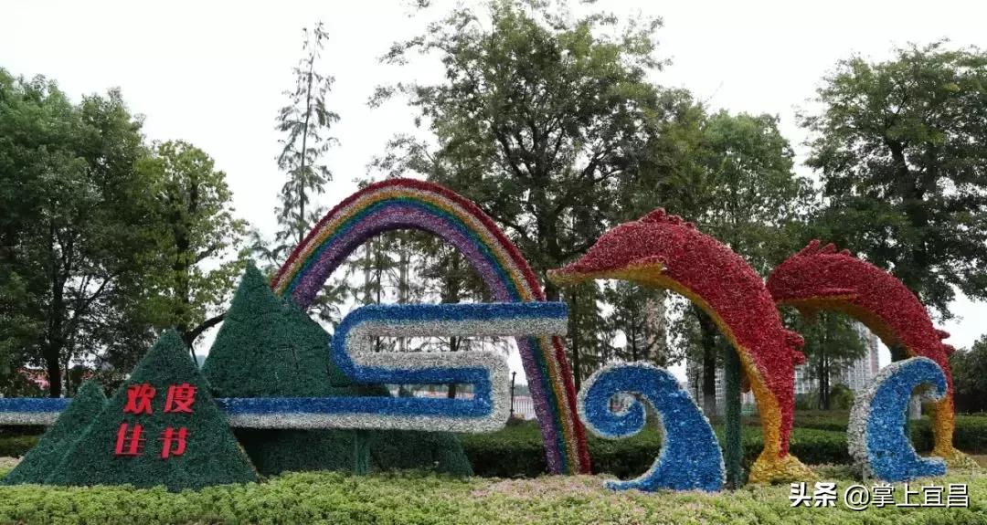 宜昌花海美景,宜昌哪里的花海最美