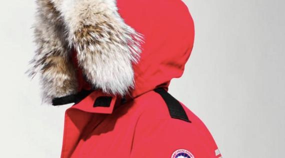 加拿大鹅与国产羽绒服哪个好,国产羽绒服堪比加拿大鹅