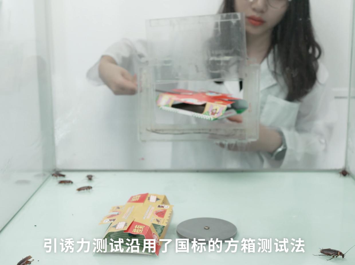 家中有蟑螂怎么一网打尽,家中发现一只蟑螂怎么办