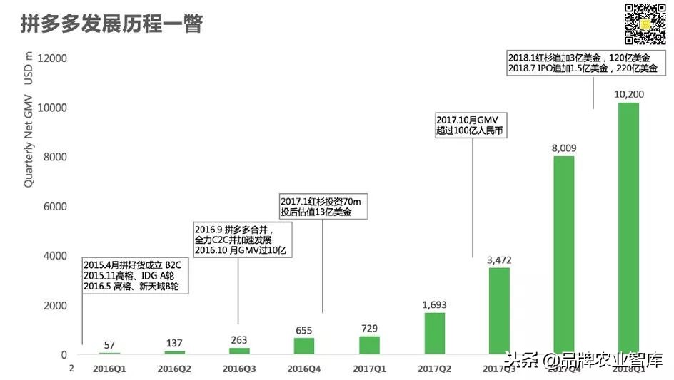 拼多多逻辑深度解析,拼多多深度剖析