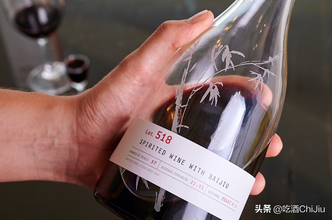 奔富红酒发展前景,奔富红酒属于什么系列的