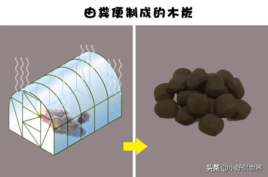 拯救地球环保,能拯救地球的小发明