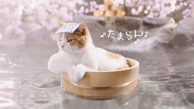 日本留学条件日本留学,日本留学费用最高的项目