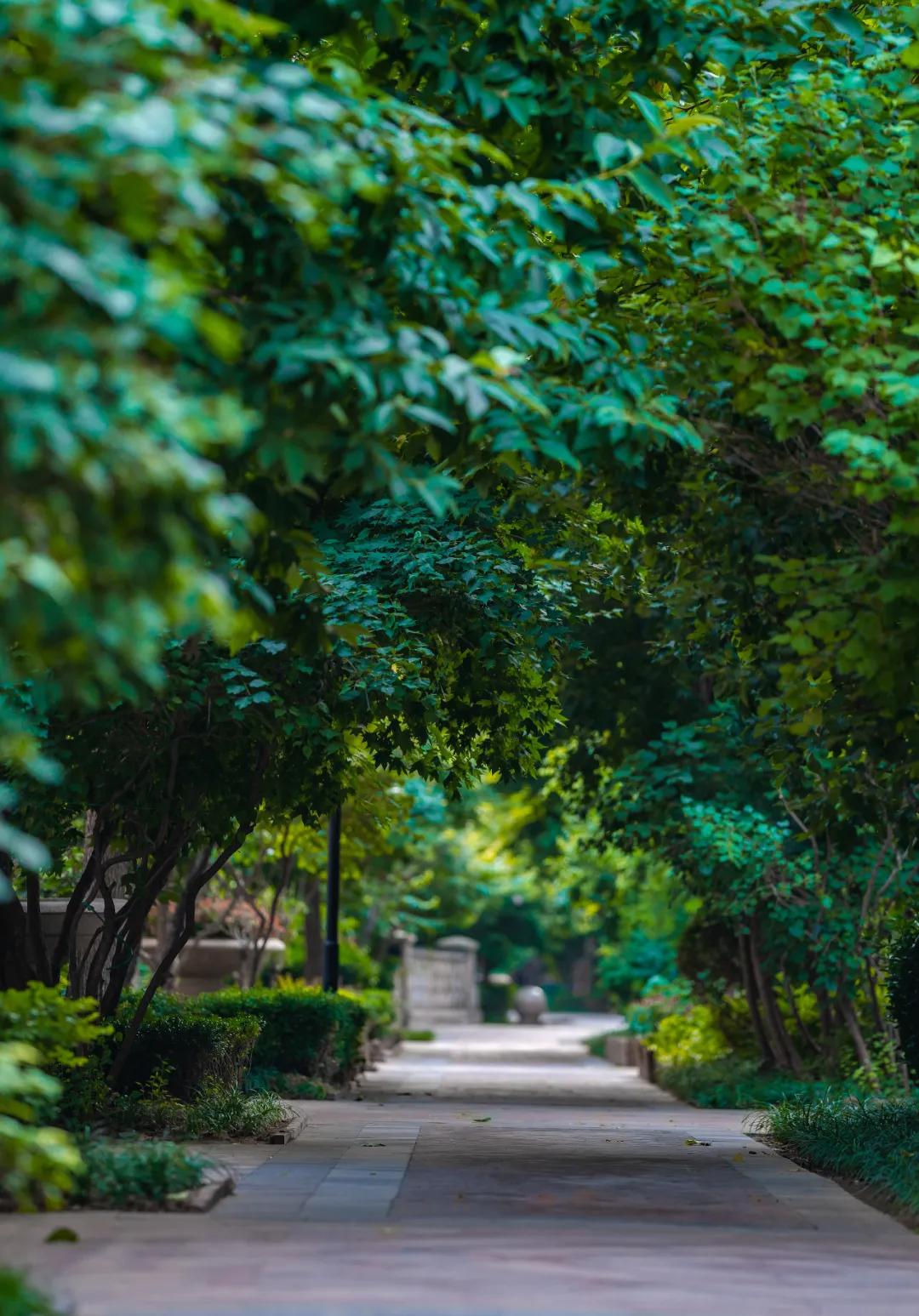 唐城壹零壹,唐城壹零壹精装