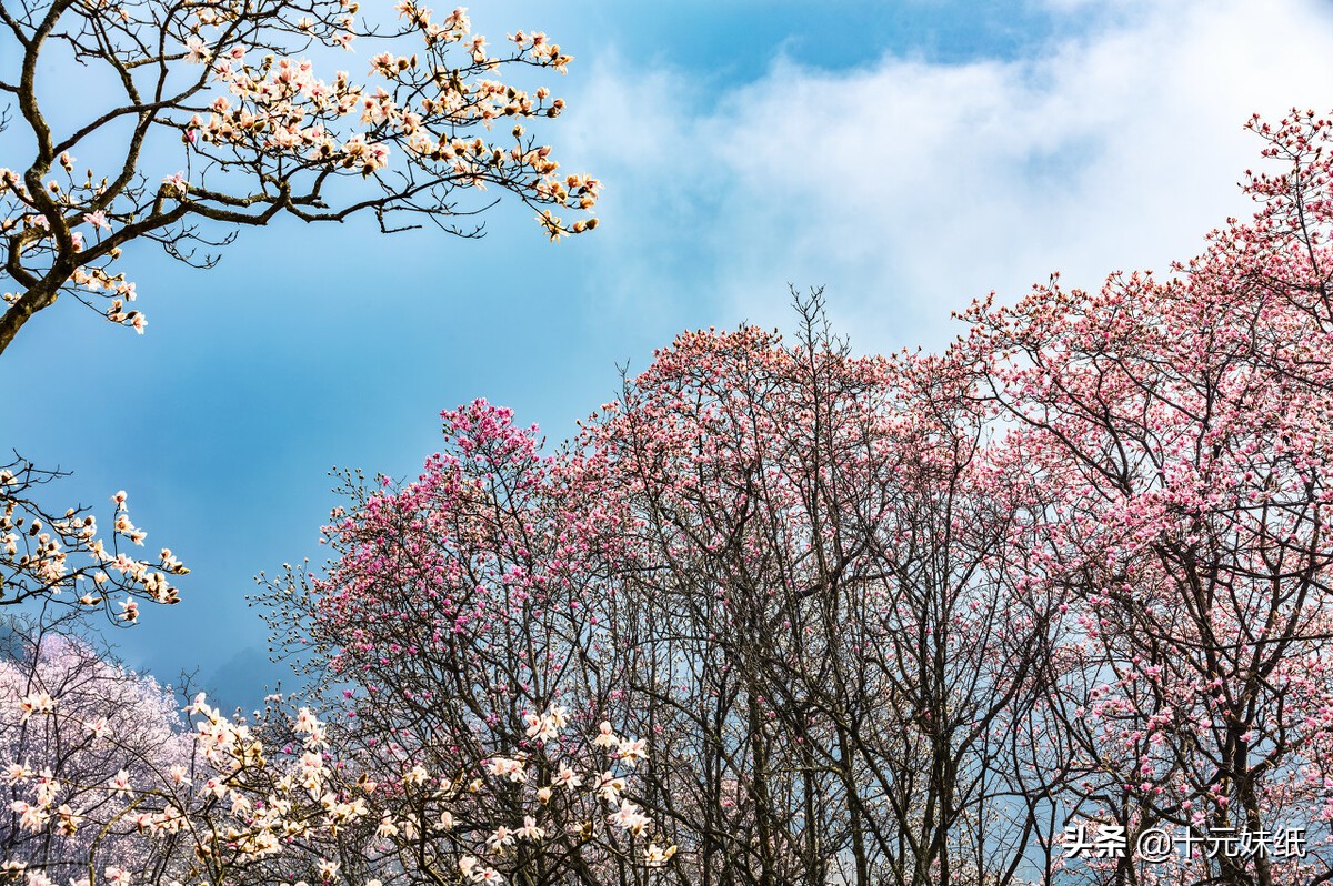 有对象了但又遇到心动的人怎么办,有对象了但是有人喜欢我怎么办