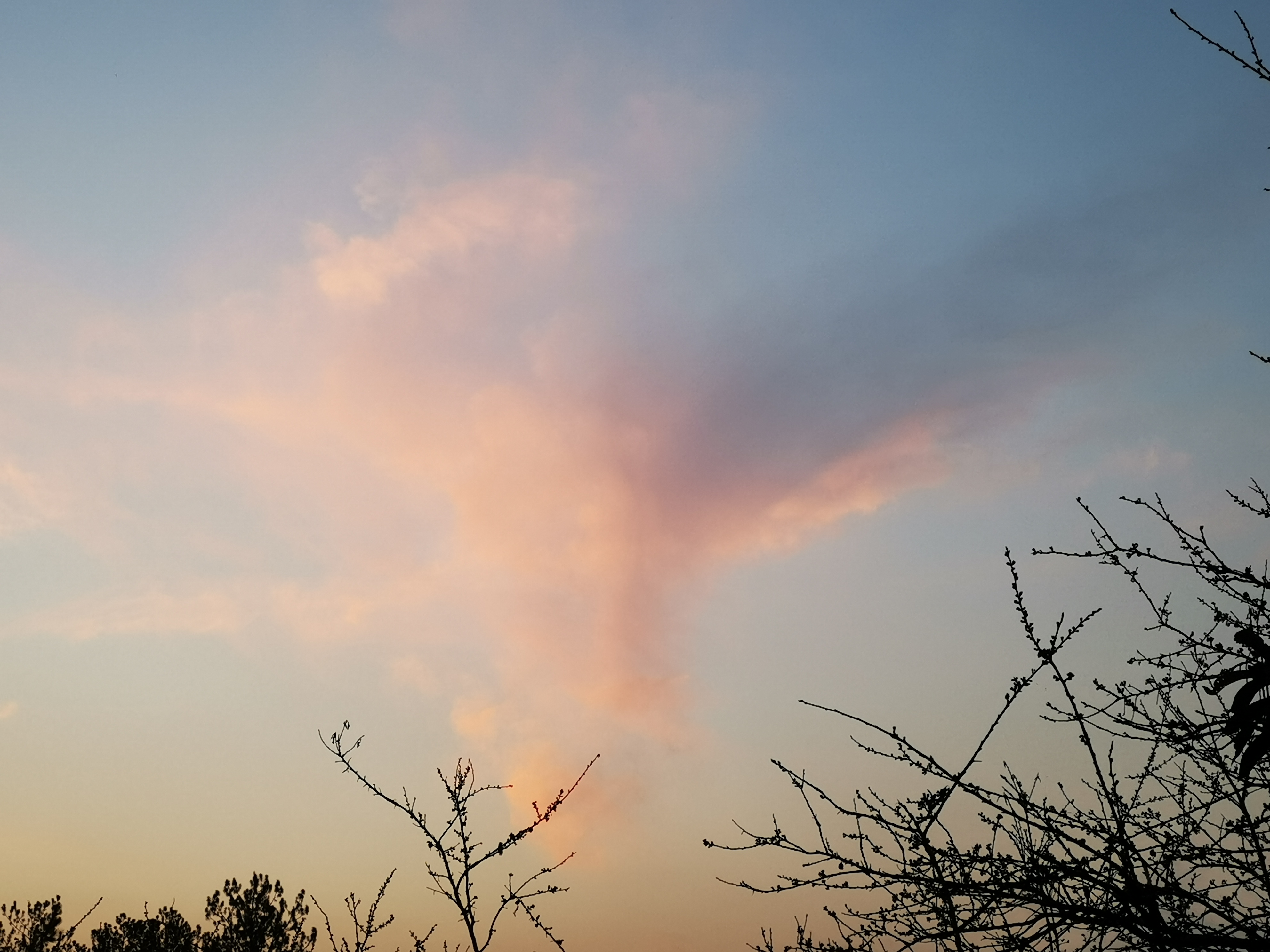 小王的日记和回忆,小王的日记100字