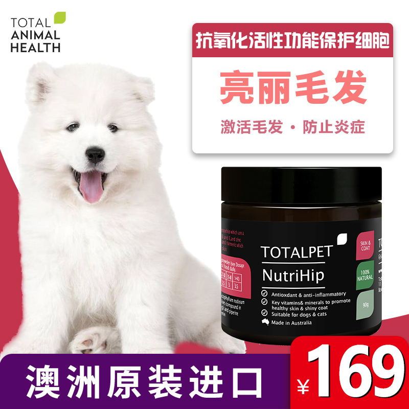 犬猫皮肤病应该怎么治疗？
