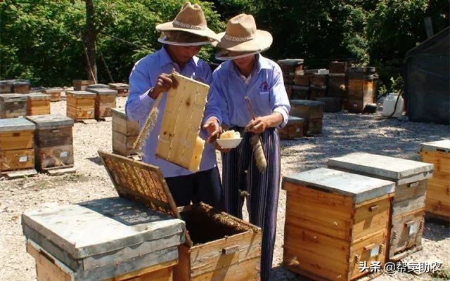 乾隆皇帝宠爱女人,乾隆皇帝独宠如意