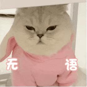 可爱表情包猫猫超开心,猫猫表情包可爱粉粉嫩嫩生气