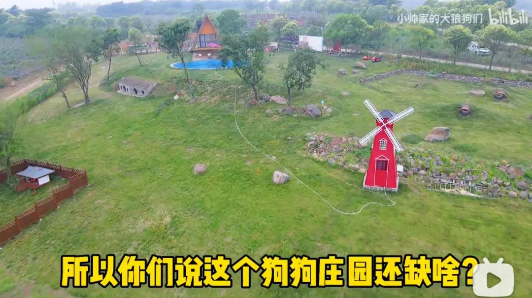 花三年建宠物乐园,花20万给狗打造乐园