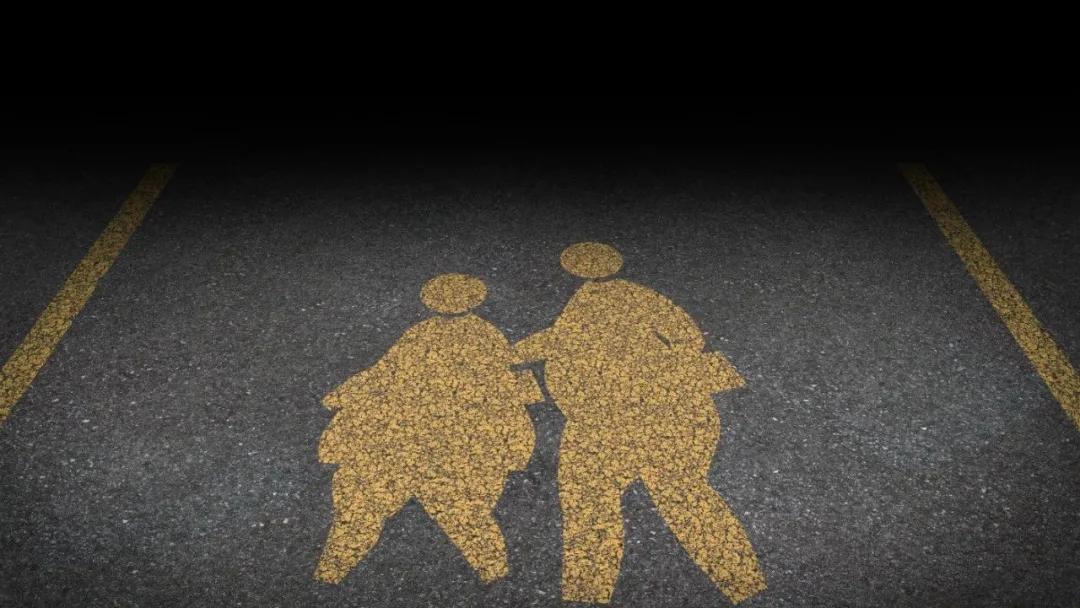 运动小达人运动时感受,运动小达人锻炼项目