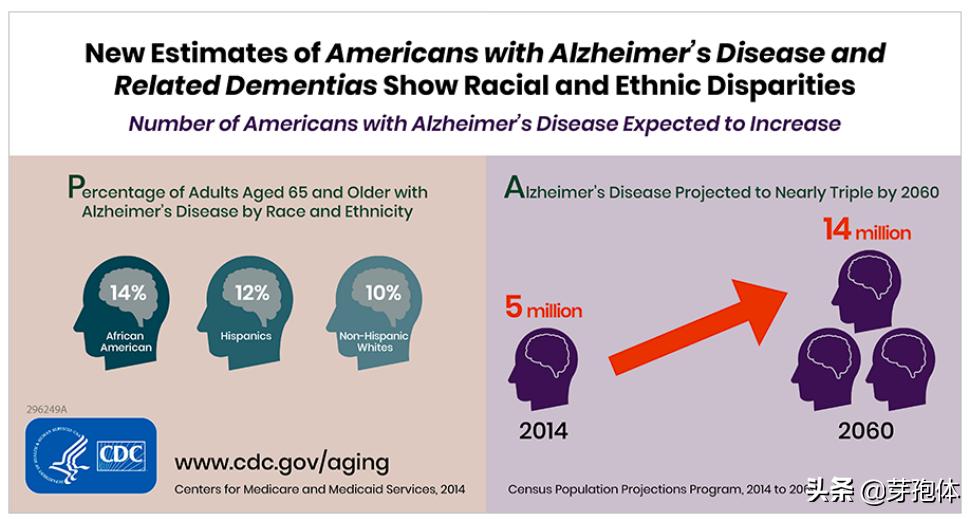 适合老年痴呆吃的营养素,预防老年痴呆的4类营养素