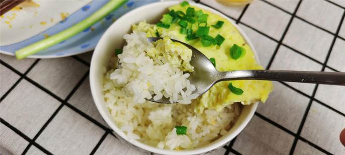 er-t16cnw微烤一体机使用说明,东芝t16cnw测评