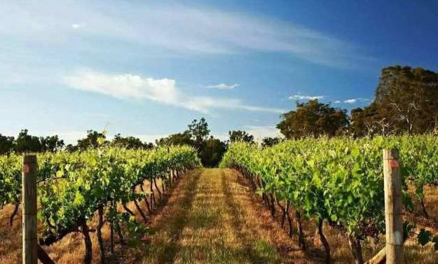 山西煤老板花1300万去迪拜体验贵族生活，当地土豪：有钱也没地位