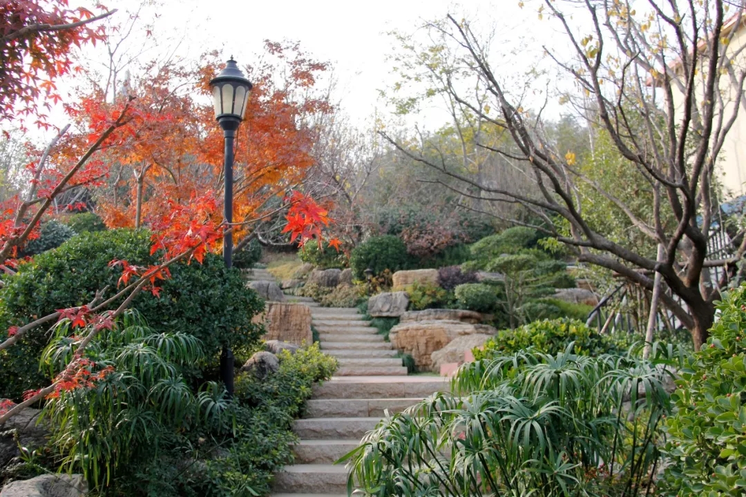 青岛波尔多小镇实景图,青岛海尔波尔多小镇别墅