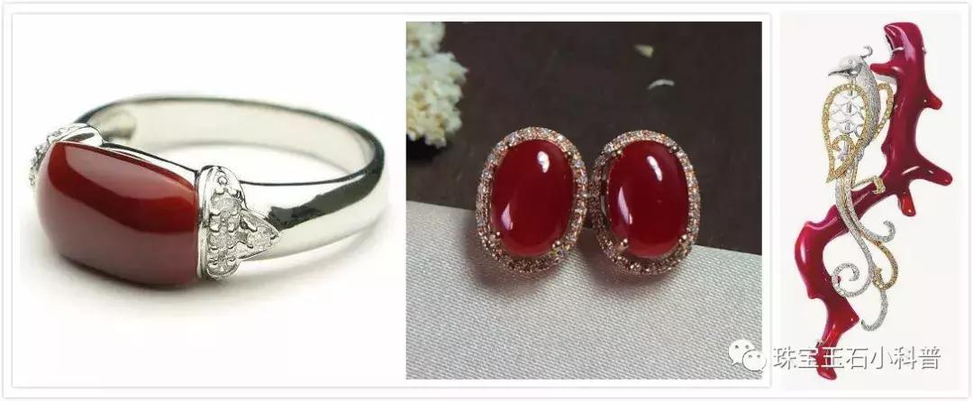 海底红珊瑚图片大全,千年珊瑚