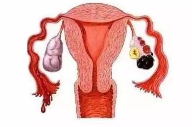 试管婴儿成功率怎么做才能提高,试管婴儿怎样提高成功率