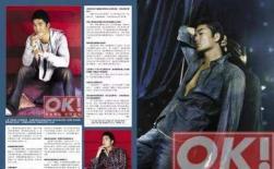 关之琳与大刘的故事,关之琳连环计电视剧